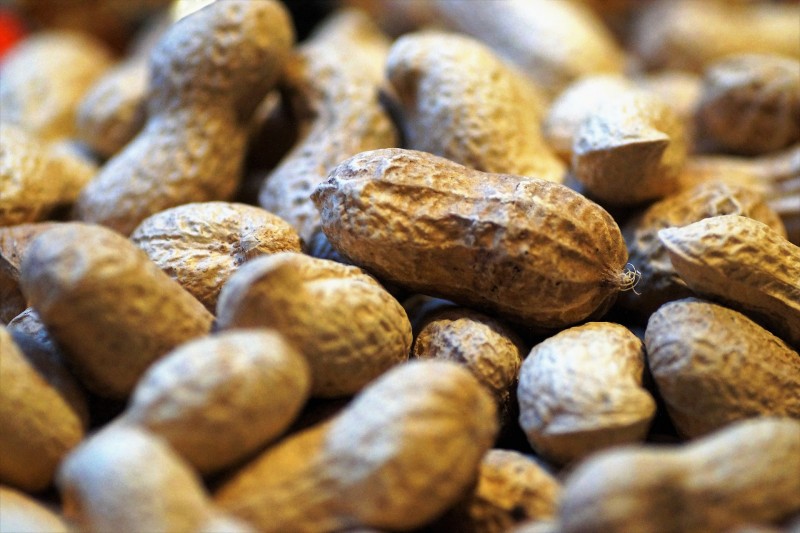 peanuts 2163043 1920